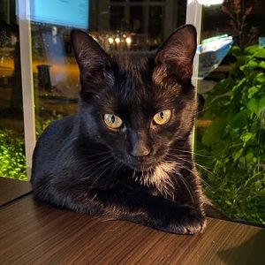 Meet your Posher, Carrie